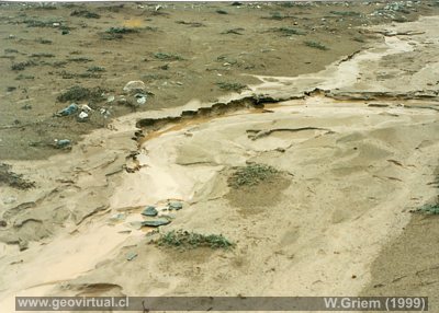 Erosi�n fluvial: Lluvia en el desierto (Regi�n Atacama)