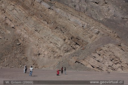Estratos inclinados de calizas (Puquios, Regi�n Atacama - Chile)