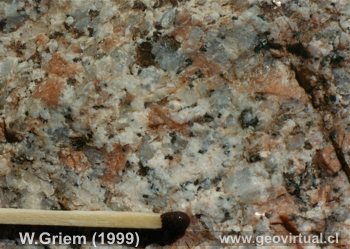 Granito p�rmico (La Semilla, Regi�n Atacama / Chile)