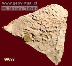 Meteorizaci�n qu�mica: Marcas de soluci�n