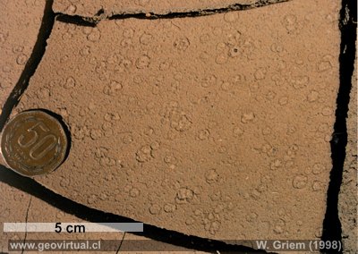 Impacto de gotas de lluvia (Desierto Atacama / Qda. Paipote)