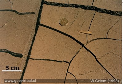 Marcas de resecaci�n y impactos de gotas de lluvia (Desierto Atacama)
