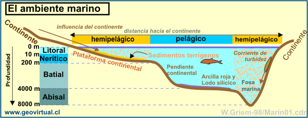 profundidades del oc�ano