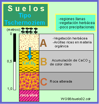 Suelo