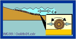 Formacion de oolites