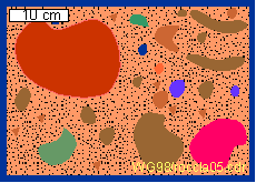 Rocas sedimentarias: Mud supported