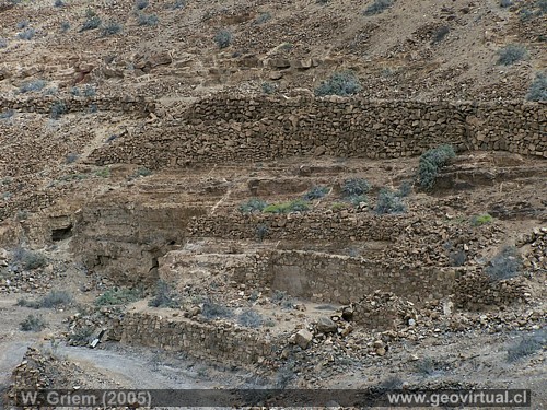 Mina Descubridora en Cha�arcillo (Atacama) 