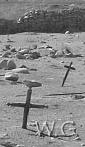 cementerio