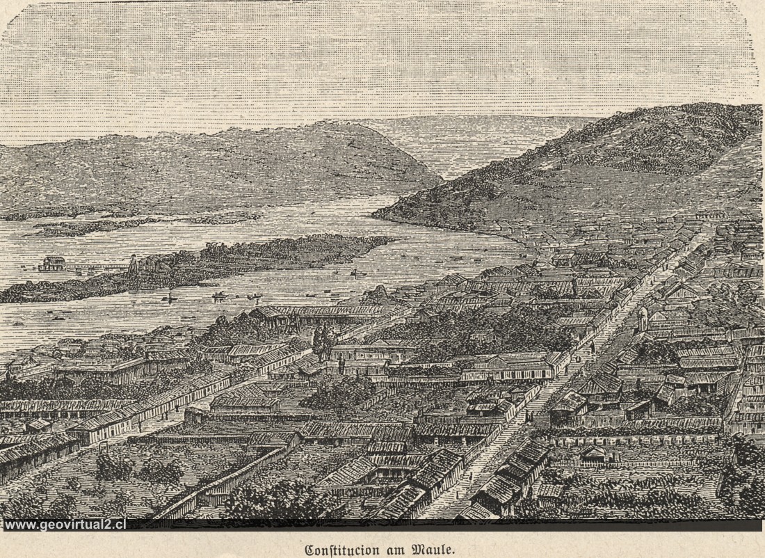 Constitución (Chile)