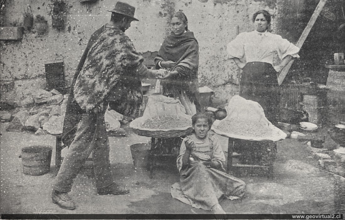 Vendedor de mote en Chile 1903