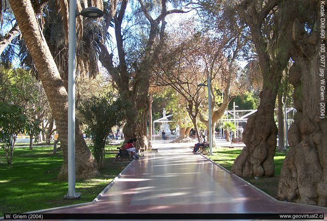 Die Plaza von Copiapo in der Atacama Region, Chile