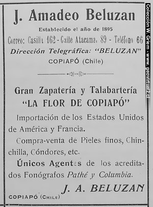 Flor de Copiapo, calle Atacama