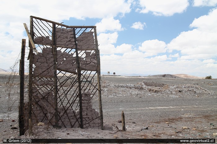 Catalina en el desierto de Atacama, Chile
