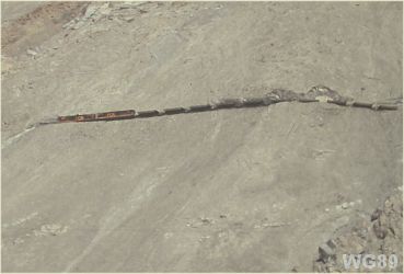 Tren en la cuesta Montandon, sector Potrerillos - Región Atacama, Chile