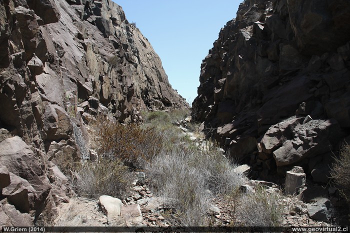 Linea ferrea de la Mina El Tofo a Cruz Grande