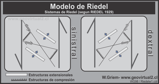 Modelo de Riedel