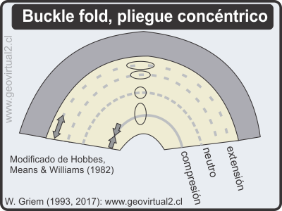Buckling o pliegue concentrico