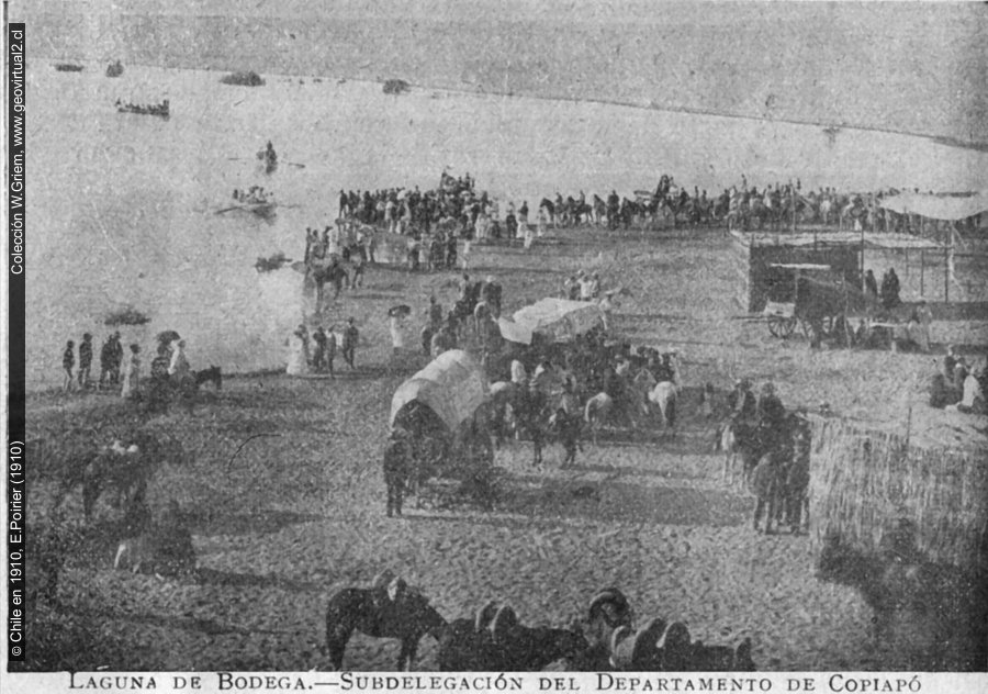 Laguna Bodega cerca de Copiapó, Chile