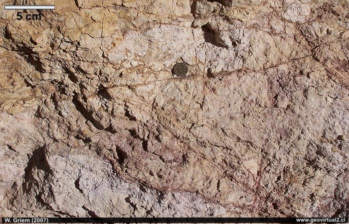 Roca alterada con Stockwerk