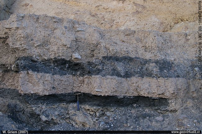 Capa de Carbón de la Ternera