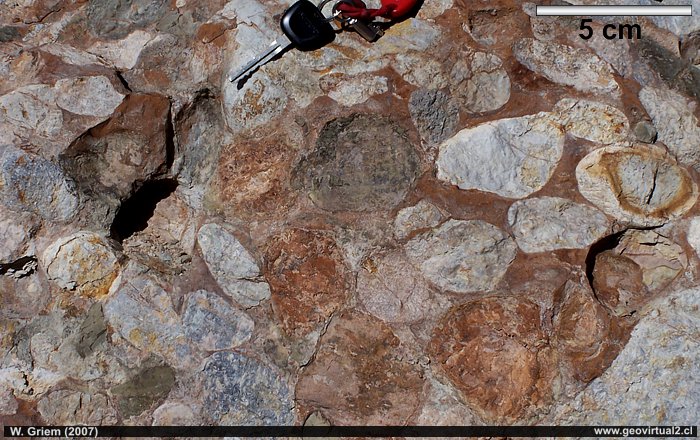 Conglomerado del triásico de la Región Atacama, Chile