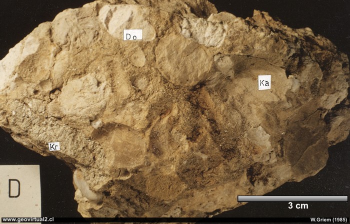 Conglomerado (Austria)