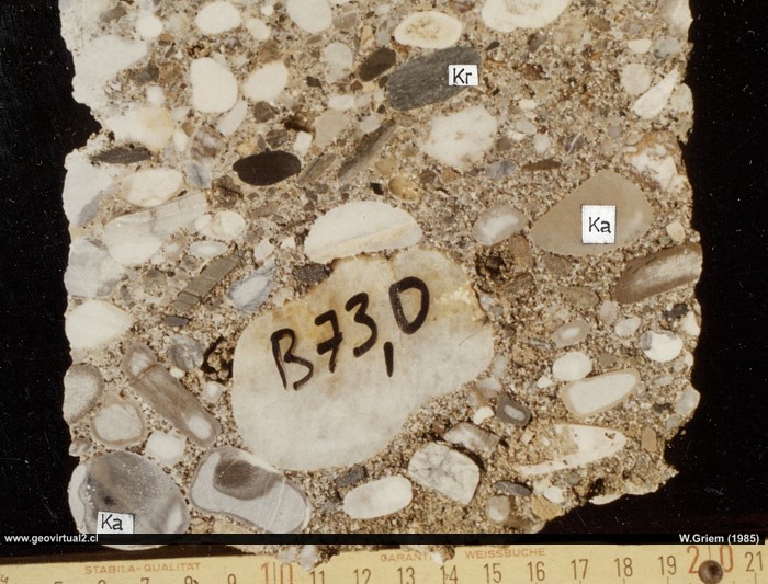 Conglomerado de Sattnitz en Austria