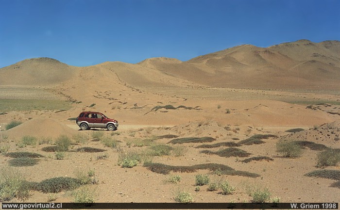Duna longitudinal en el desierto de Atacama