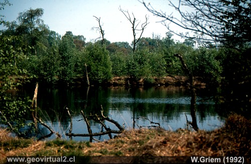 Fenner Moor un pantano en Alemania