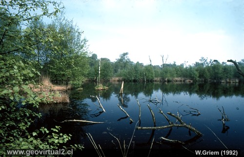 Pantano en Alemania