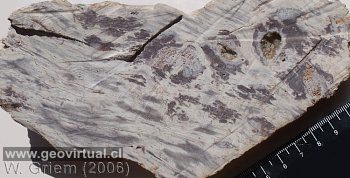 textura fluidal en rocas magmáticas