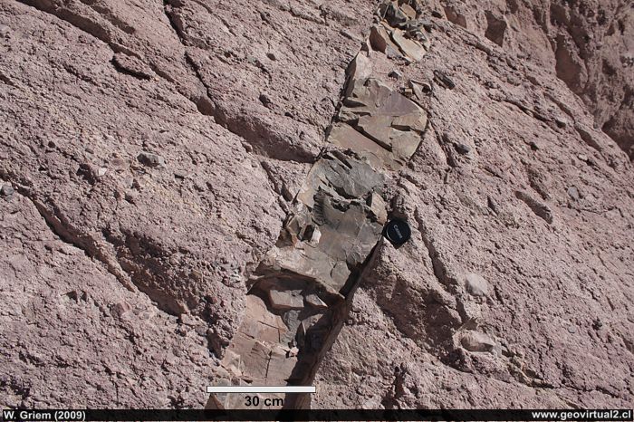 dique máfico en rocas triásicas de la Formación Ternera - Atacama, Chile