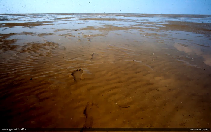 aguas de baja profundidad en Alemania (Watt)