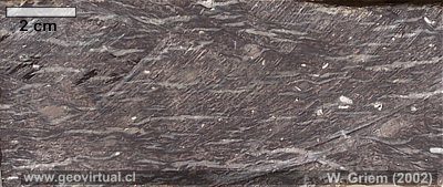 Textura fluidal en una riolita (Región Atacama)