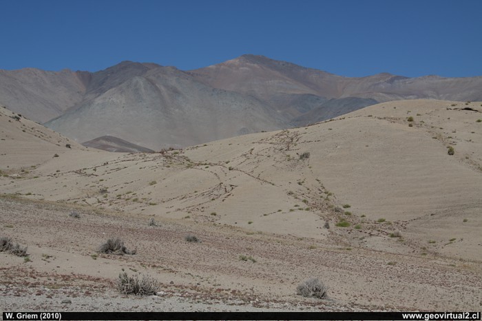 Vegetación prefiere zona de fracturas en el desierto (Geología estructural)
