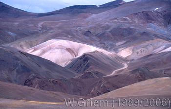 Sector Ciénaga Región Atacama, Chile