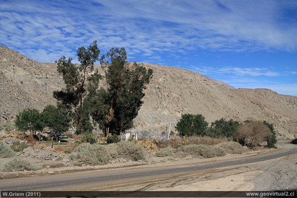 Die Oase Maray in der Atacama - Wüste, Chile