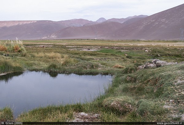 San Andres en la Region de Atacama, Chile
