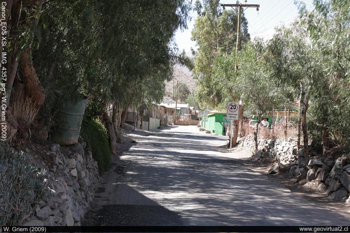 Chanchoquin en la Región de Atacama, Chile