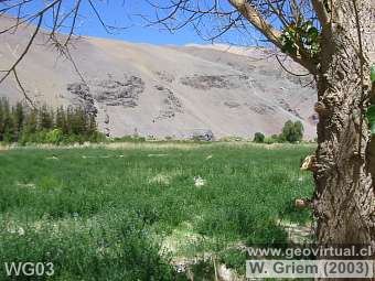 Sector río Jorquera, Región Atacama (Chile)
