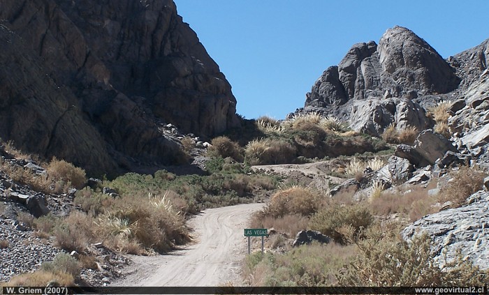 Las Vegas de Chañaral Alto, desierto de Atacama - Chile