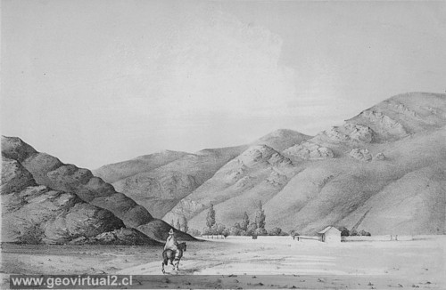 Figura de Philippi: Finca de Chañaral Alto, Atacama - Chile