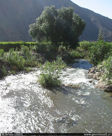 Der Copiapo Fluss, hier mit einer ordentlichen Wassermenge, Atacama Region - Chile