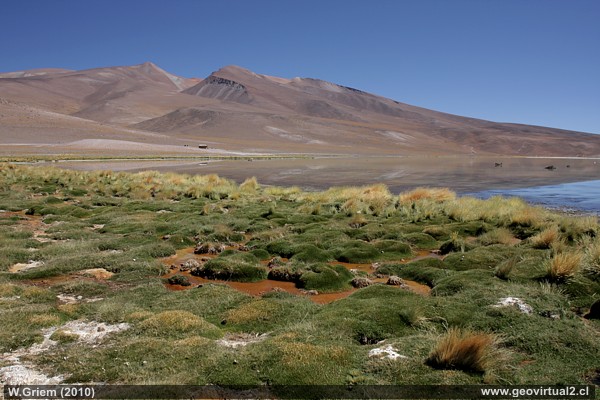Santa Rosa Lagoon with CONAF refuge in the background; Atacama Region - Chile