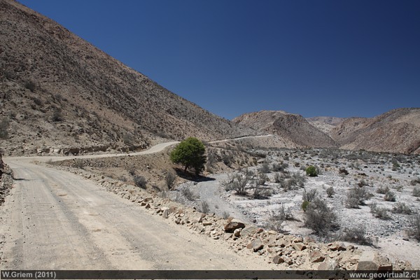 Atacamawüste bei Algarrobal