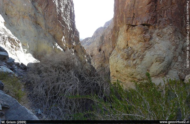 El cañon de Carrizo - Desierto de Atacama, Chile