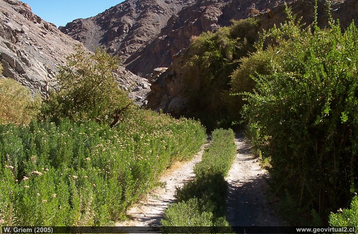 Cueva Melendez en la Quebrada San Miguel, Desierto Atacama - Chile