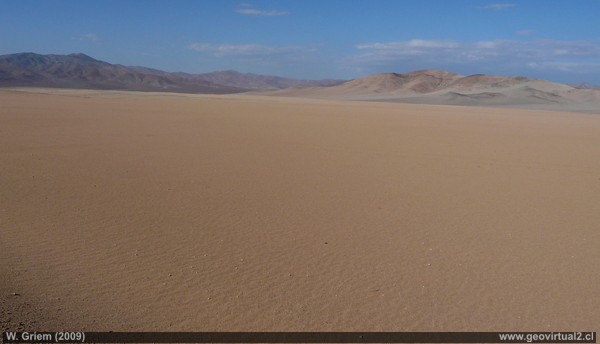 Llano Borracha en el desierto Atacama (Región Atacama, Chile)