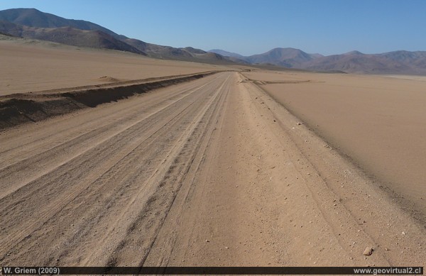 Desierto Atacama, cerca Morado; Llano Borracha (Región Atacama, Chile)