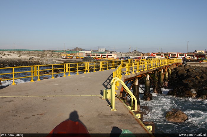 Punta de Choros, Región Coquimbo - Chile